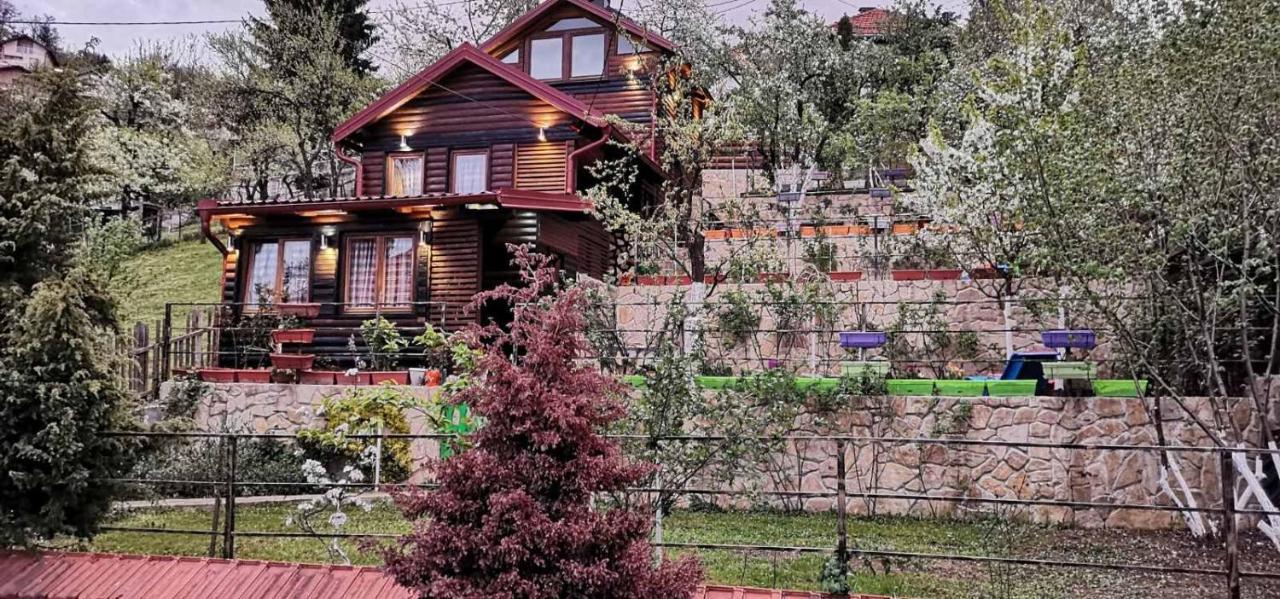 Bungalow 3 With 1 Room サラエヴォ エクステリア 写真