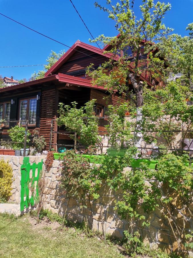 Bungalow 3 With 1 Room サラエヴォ エクステリア 写真